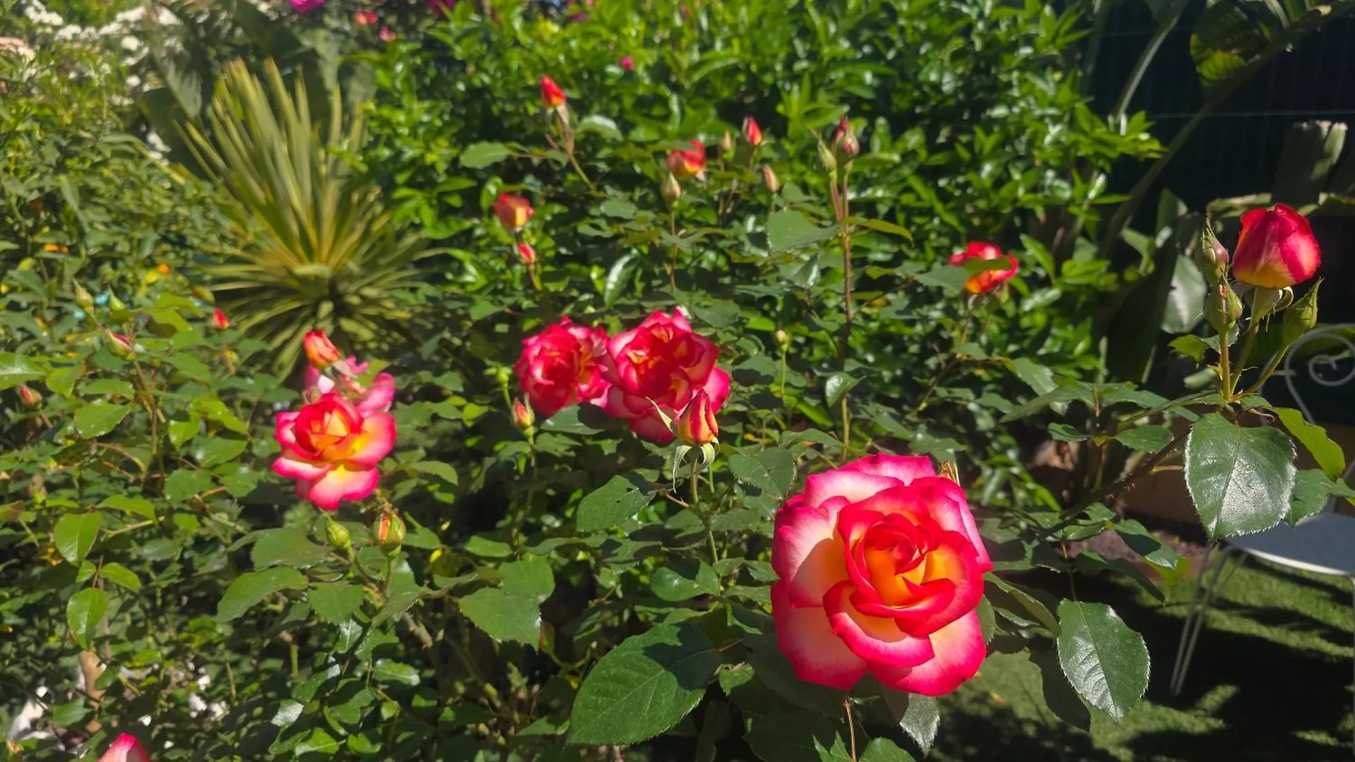 Bed & Breakfast Chambre D'Hotes Dans Villa Diane La Londe-les-Maures
