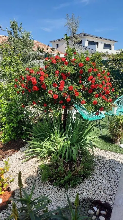 Bed & Breakfast Chambre D'Hotes Dans Villa Diane La Londe-les-Maures